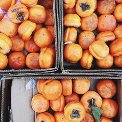 Directly above shot of fruits for sale at market