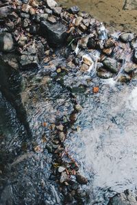 Rocks in sea