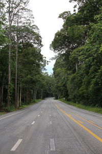 Road amidst trees in forest against sky