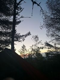 Low angle view of silhouette trees against sky at sunset