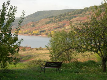 Scenic view of green landscape against sky