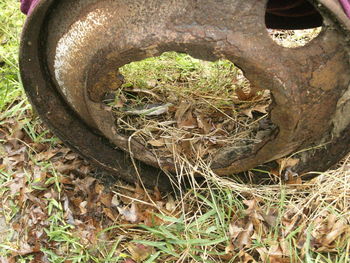 Close-up of old fence on field