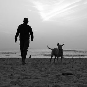People with dog on beach against sky