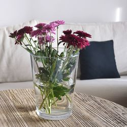 Maroon and pink chrysanthemums in vase on table at home
