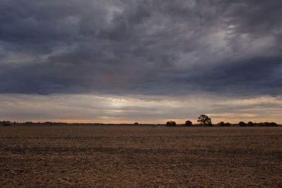 Scenic view of field against sky during sunset
