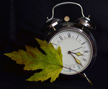 Close-up of alarm clock with leaf against black background