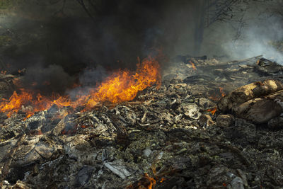 Close-up of bonfire