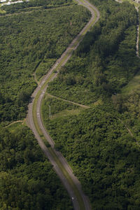 Aerial view of road and highway