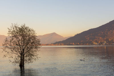 Scenic view of lake and mountains against clear sky