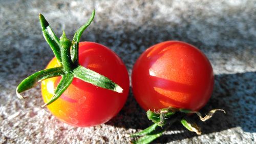 Close-up of red fruit