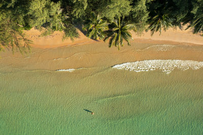 Aerial view of the lonely beach in koh rong island, cambodia