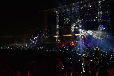 Crowd at music concert