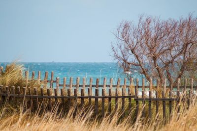 Scenic view of sea against clear sky