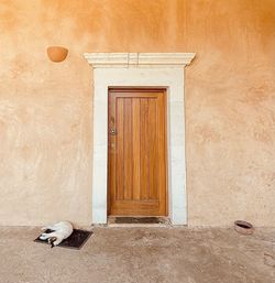 Cat sitting on wall