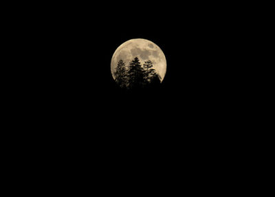 Low angle view of moon against sky at night