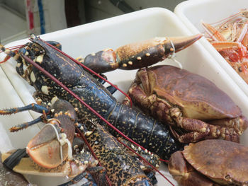 Close-up of seafood in container for sale