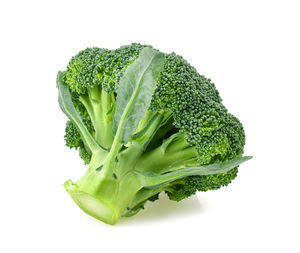 Close-up of green leaf against white background