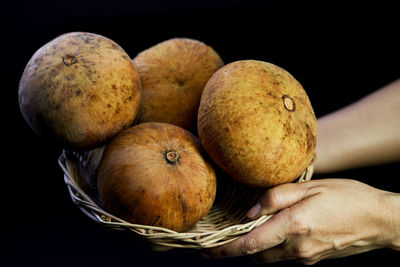 Close-up human hands holding ripe santol fruit on wicker basket