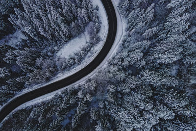 Drone shot of pine trees covered with snow. highway through the winter forest, aerial view