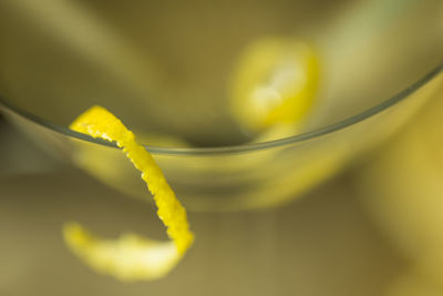 Close-up of yellow leaf