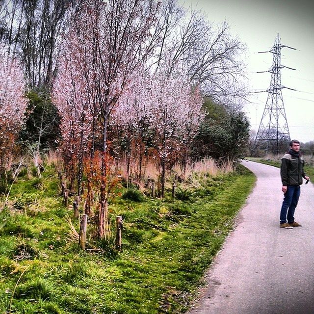 tree, lifestyles, full length, leisure activity, walking, men, rear view, person, casual clothing, transportation, bare tree, sky, footpath, grass, bicycle, the way forward, street