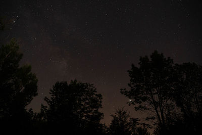 Low angle view of silhouette trees against sky at night