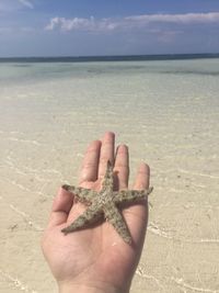 Midsection of person on sand at beach against sky