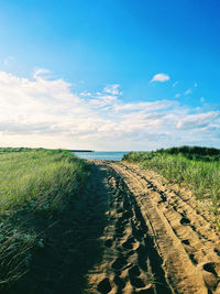 horizon