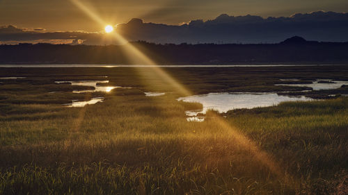 Scenic view of field against sky during sunset