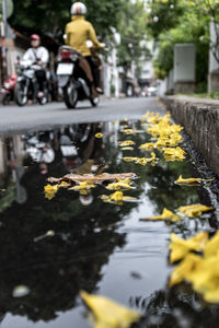 Reflection of man in puddle