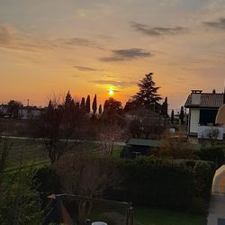 Houses and trees against sky during sunset