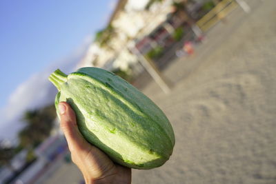 Close-up of hand holding fruit