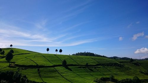 Scenic view of field against cloudy sky