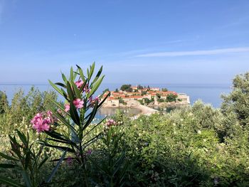 Scenic view of sea and buildings against sky