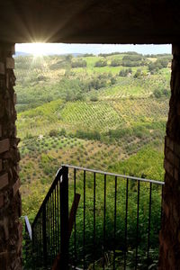 Scenic view of field seen through railing