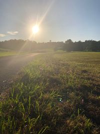 Scenic view of field against bright sun