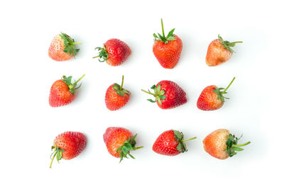 High angle view of fruits against white background