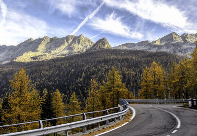 Road passing through forest