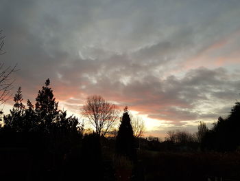 Silhouette trees against sky during sunset