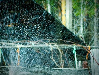 Close-up of wet spider web