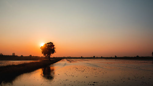 Scenic view of sunset