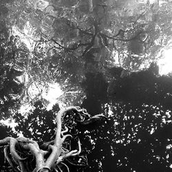 Full frame shot of water