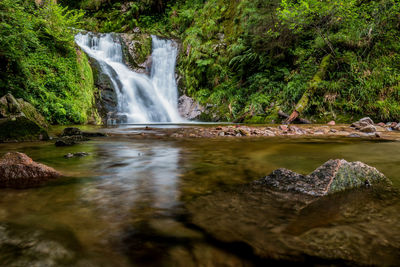 Scenic view of waterfall in forest