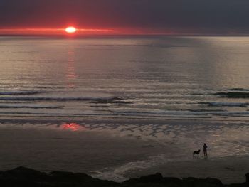 Silhouette of people on beach