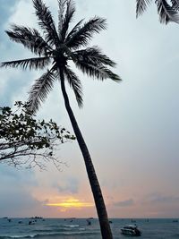 Scenic view of sea against sky at sunset