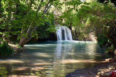 Scenic view of waterfall in forest