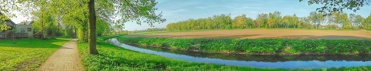 Scenic view of lake amidst trees against sky