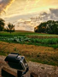 Close-up of agricultural field against sky