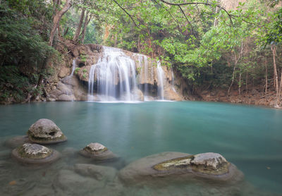 Scenic view of waterfall in forest