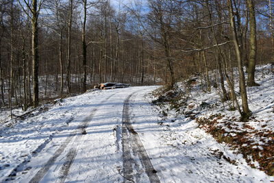 Snow covered road amidst trees in forest